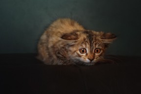 爱游戏娱乐网址-“德甲决战时刻，豪门迎来关键比赛”，德甲落魄豪门