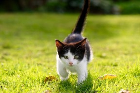 爱游戏-《电竞行业高端会议：行业领袖共话未来》，电竞行业大事