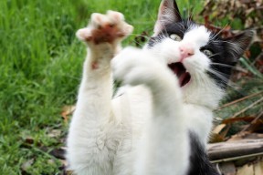 爱游戏中国官方登录入口网站-国家队风云：NBA球员代表国家队的精彩表现，nba各球队代表人物